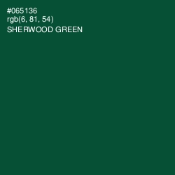 #065136 - Sherwood Green Color Image